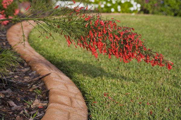 Brick Edging in Indianapolis