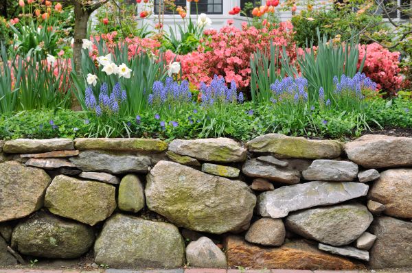 Stone Wall Hardscaping in Indianapolis