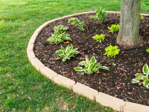 Stone Border Installation in Indianapolis